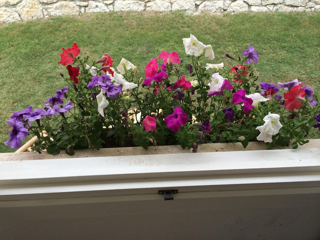 Alacati Roka Hotel Pokój zdjęcie