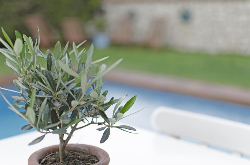 Alacati Roka Hotel Zewnętrze zdjęcie